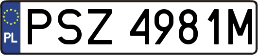 PSZ4981M
