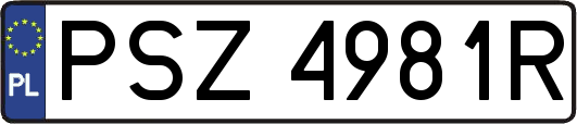 PSZ4981R