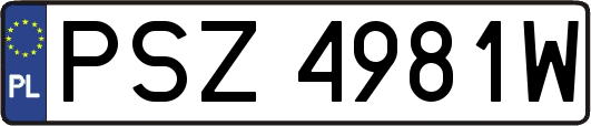 PSZ4981W