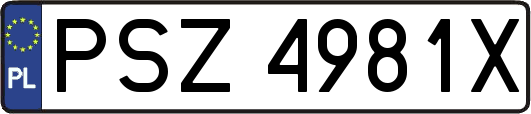 PSZ4981X
