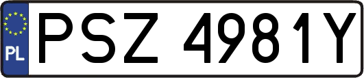 PSZ4981Y