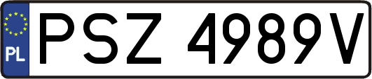 PSZ4989V