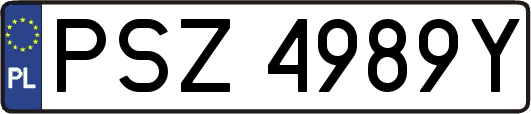 PSZ4989Y