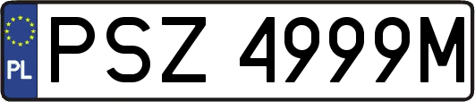 PSZ4999M