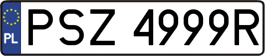 PSZ4999R
