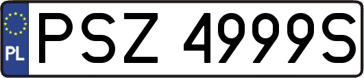 PSZ4999S