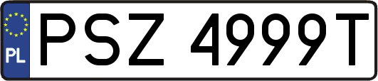PSZ4999T