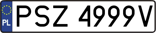 PSZ4999V