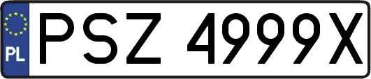 PSZ4999X