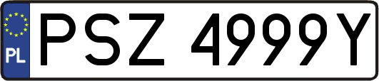 PSZ4999Y