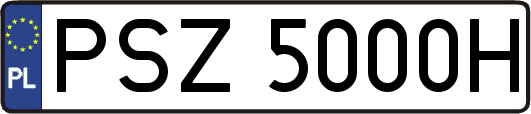 PSZ5000H