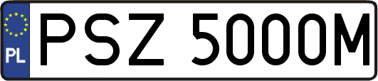 PSZ5000M