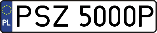 PSZ5000P