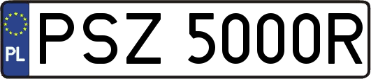 PSZ5000R