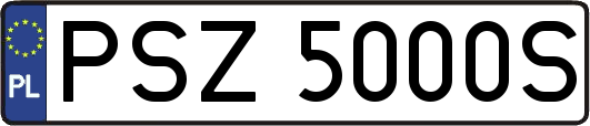 PSZ5000S