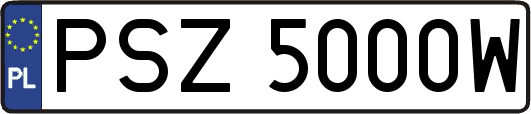 PSZ5000W