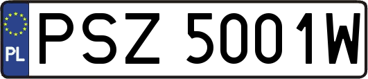 PSZ5001W
