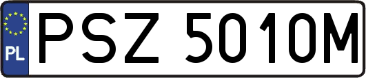 PSZ5010M