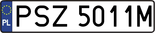 PSZ5011M