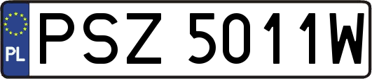 PSZ5011W