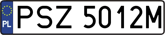 PSZ5012M
