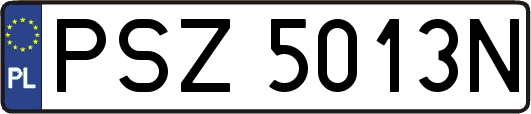 PSZ5013N