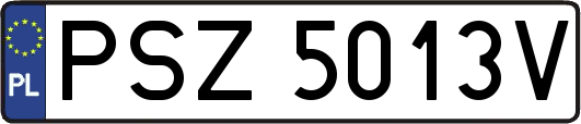 PSZ5013V