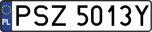 PSZ5013Y
