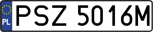 PSZ5016M