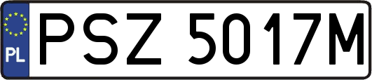 PSZ5017M