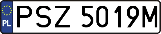 PSZ5019M