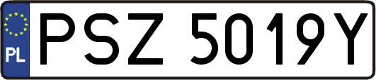 PSZ5019Y
