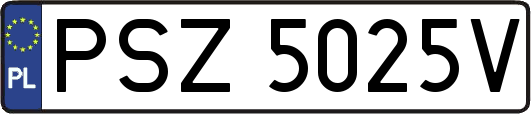 PSZ5025V