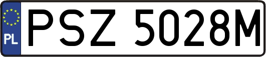 PSZ5028M
