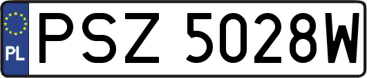 PSZ5028W
