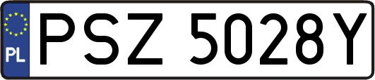 PSZ5028Y
