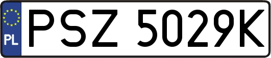 PSZ5029K