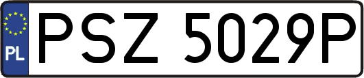 PSZ5029P