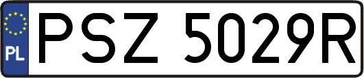 PSZ5029R