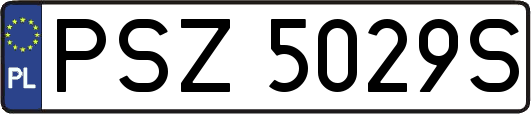 PSZ5029S