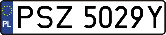 PSZ5029Y