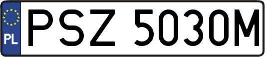 PSZ5030M
