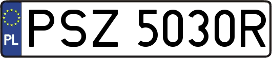 PSZ5030R