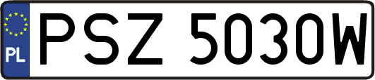 PSZ5030W
