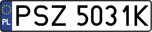PSZ5031K