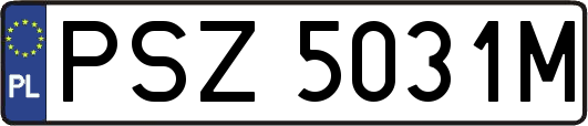 PSZ5031M