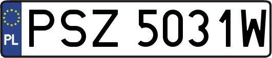 PSZ5031W