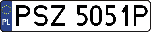 PSZ5051P