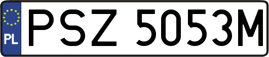 PSZ5053M