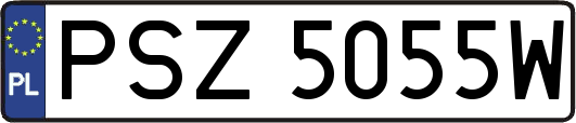 PSZ5055W